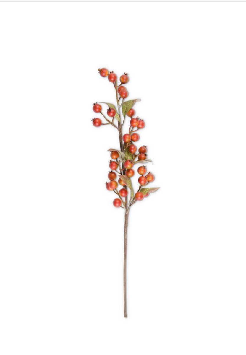 Burnt Orange Rosehip Stem-32"
