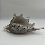 Glass Conch Seashell