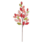 Winward 25" Eliagnus Spray - Rasberry