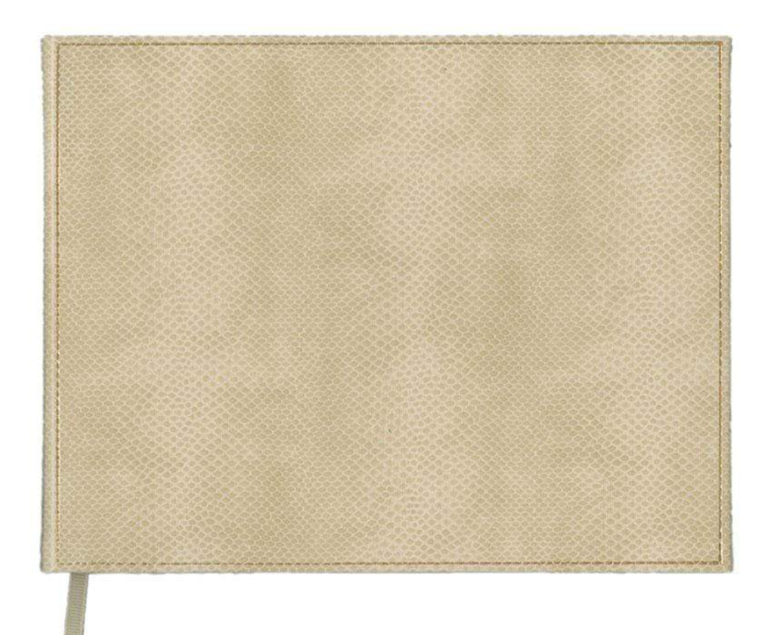 Caspari Lizard Guest Book