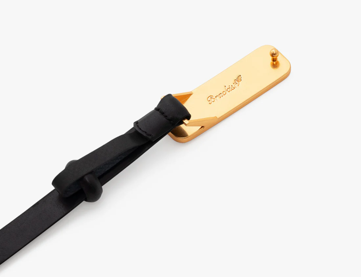 Brackish ACE Basin Abby Belt