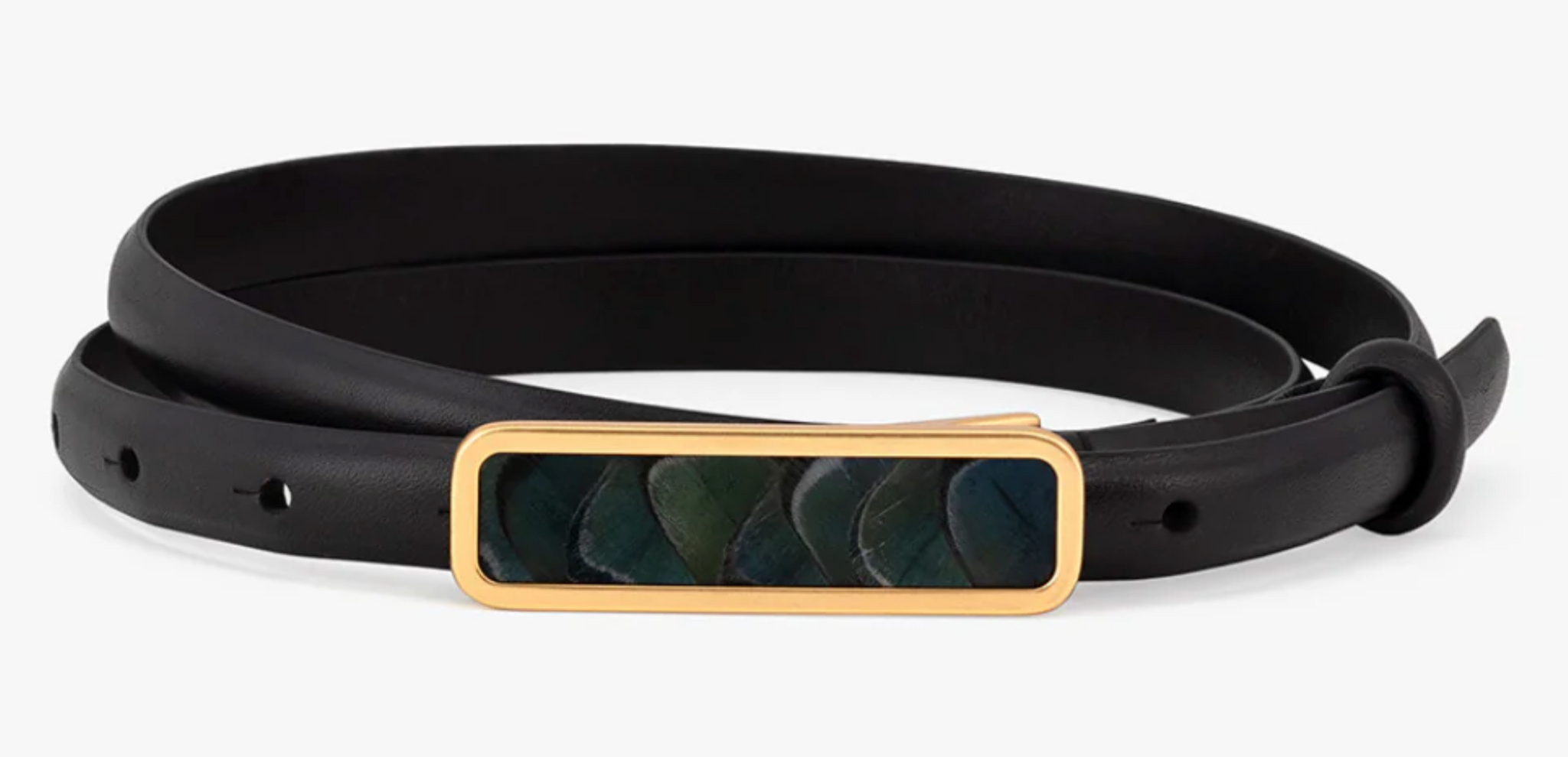 Brackish ACE Basin Abby Belt