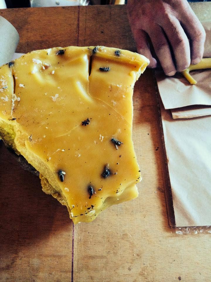 Stick Candles - Stick Candles Hickory / Pair