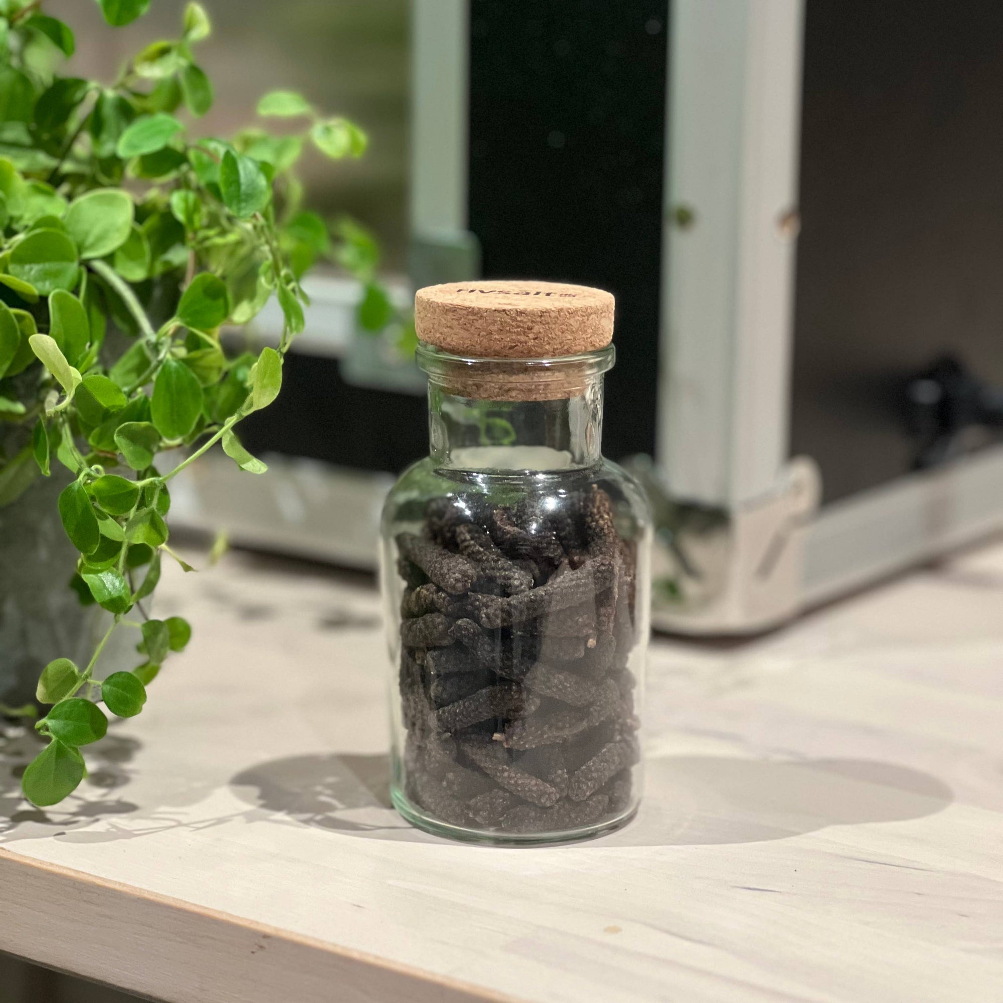 RIVSALT™ - Java Long Pepper