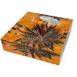Nicolette Mayer - Pheasant Feathers Butternut Acrylic Candy Dish 6x6