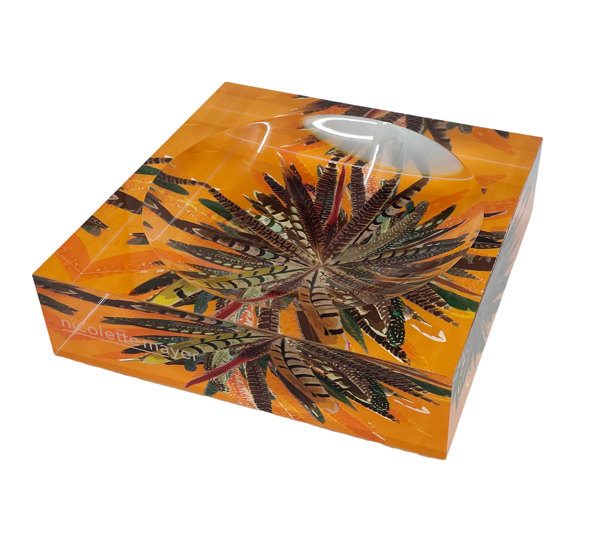 Nicolette Mayer - Pheasant Feathers Butternut Acrylic Candy Dish 6x6