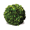 Napa Home & Garden - Boxwood Ball 6"