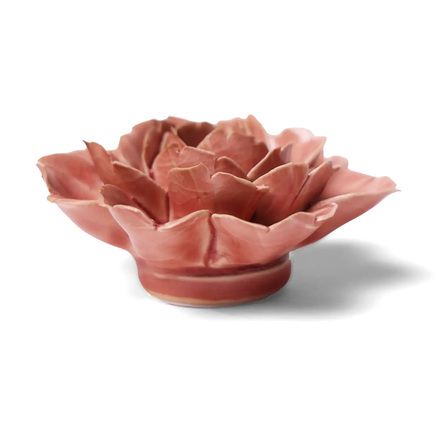 Chive Champagne Pink Rose