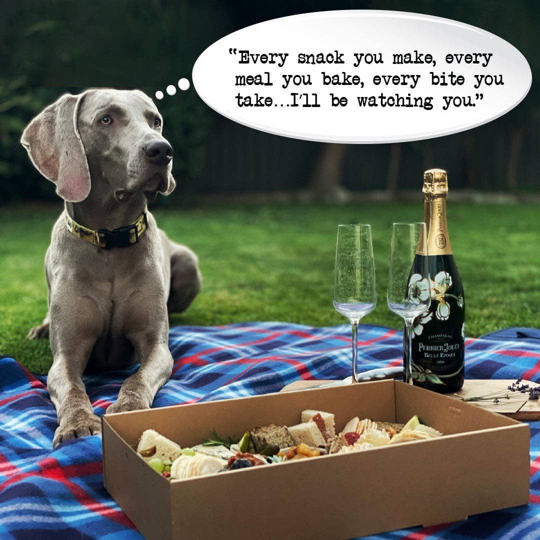 Five Star Napkins Inc. - Dog Quotes - White Cotton Cocktail Napkins 50x