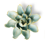 Chive English Garden Robin's Egg Blue Aurora Water Lily