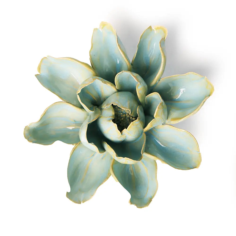 Chive English Garden Robin's Egg Blue Aurora Water Lily