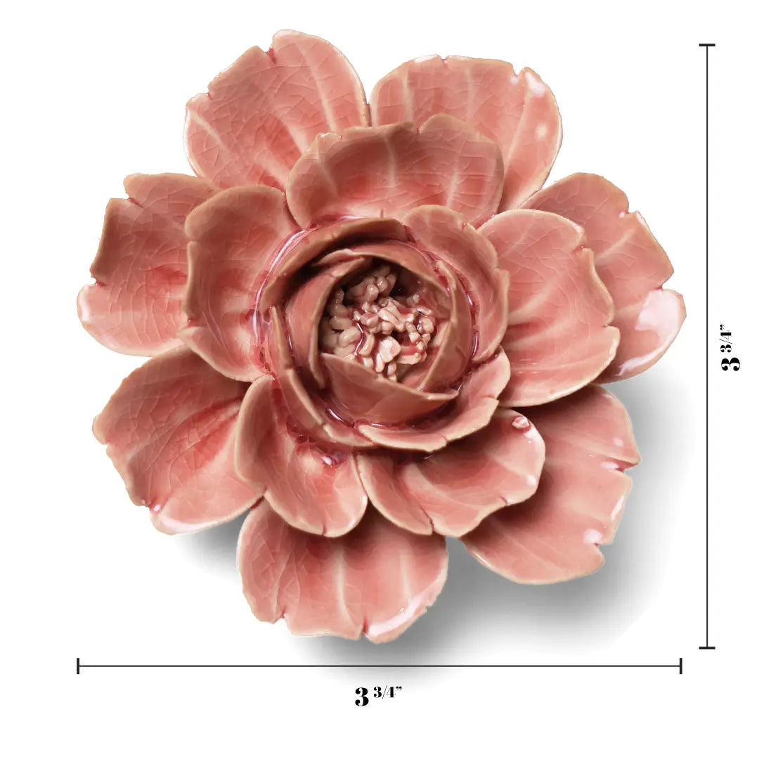 Chive Champagne Pink Rose