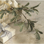 OLIVE AND BERRY PICK TALL